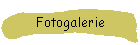 Fotogalerie